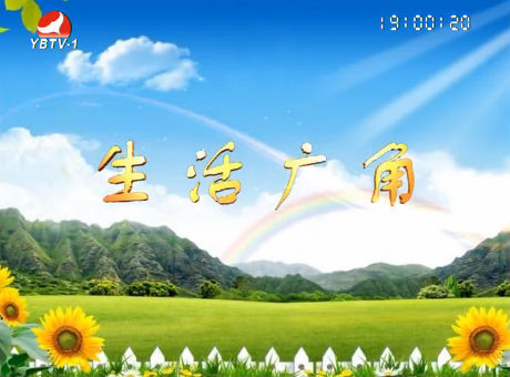生活广角2016-10-17