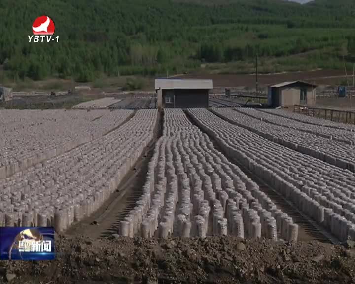 延边新闻 2016-06-09