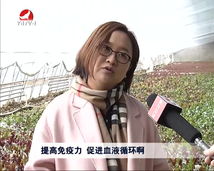 延边新闻2016-04-11