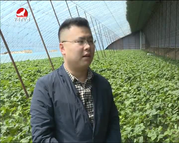 生活广角2016-5-2