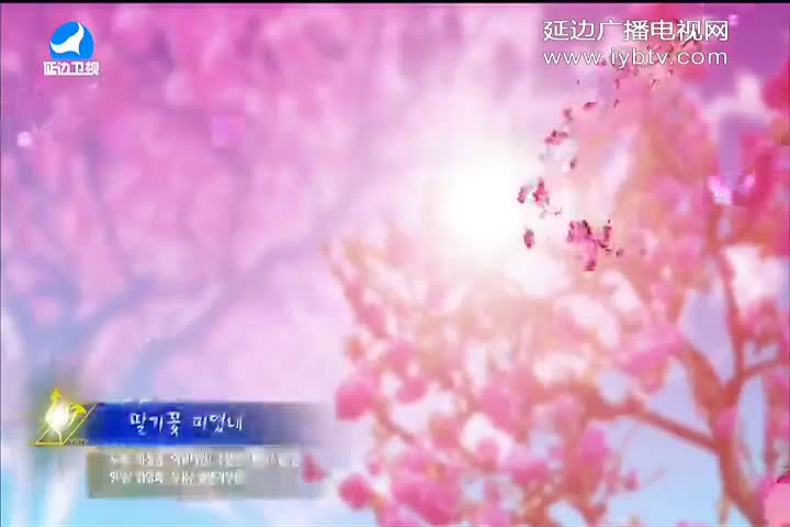 딸기꽃 피였네