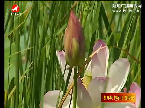 延边新闻 2017-03-25