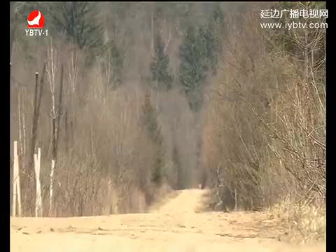 生活广角 2017-04-24