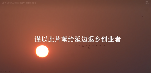 返乡创业电视专题片《雁归来》