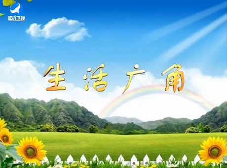 生活广角 2017-08-08