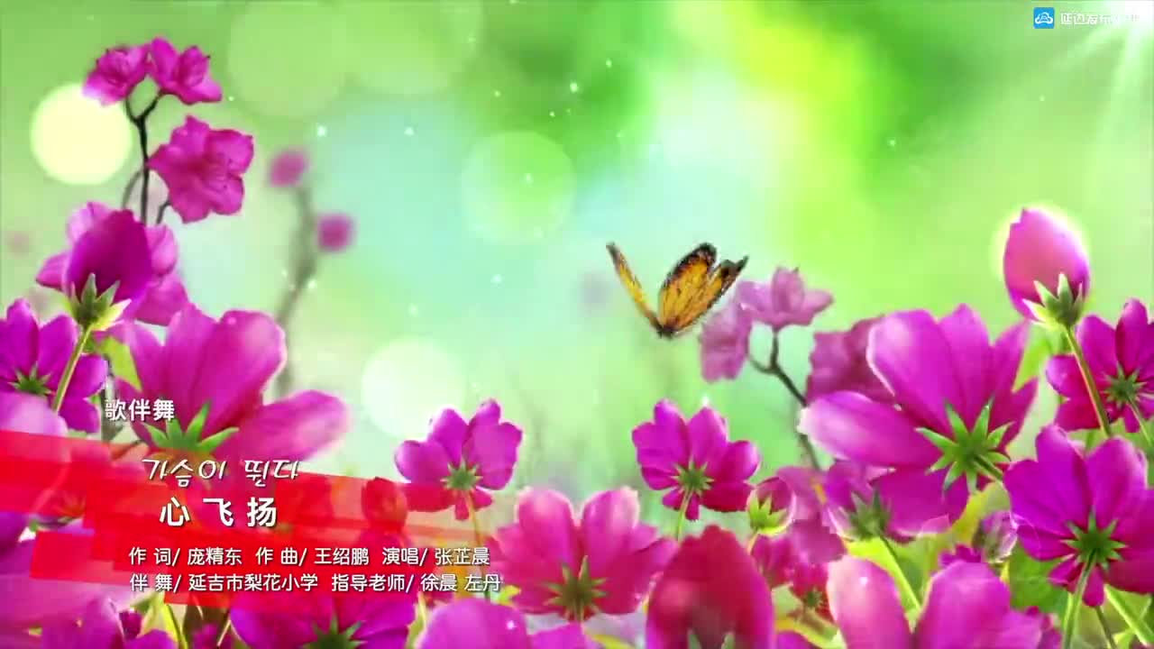 心飞扬