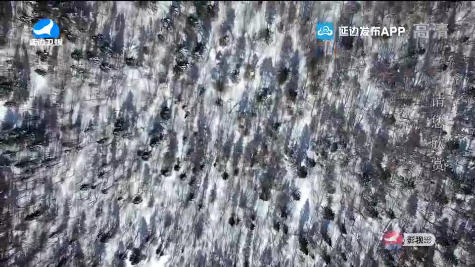 生活广角 2020-02-20
