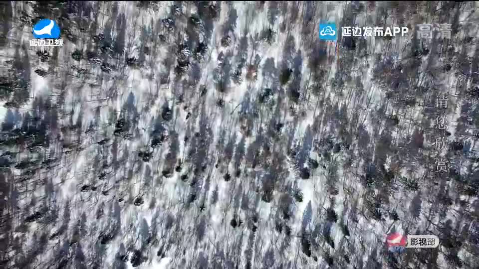 生活广角 2020-02-19
