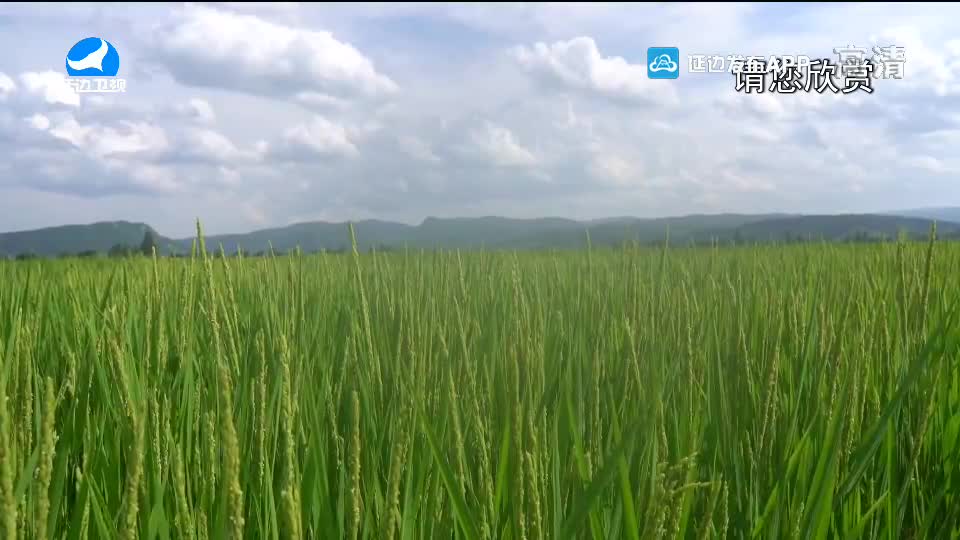 生活广角 2020-09-09