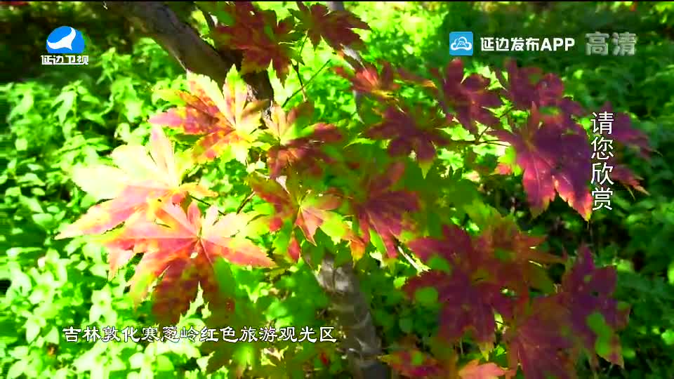生活广角 2020-10-14