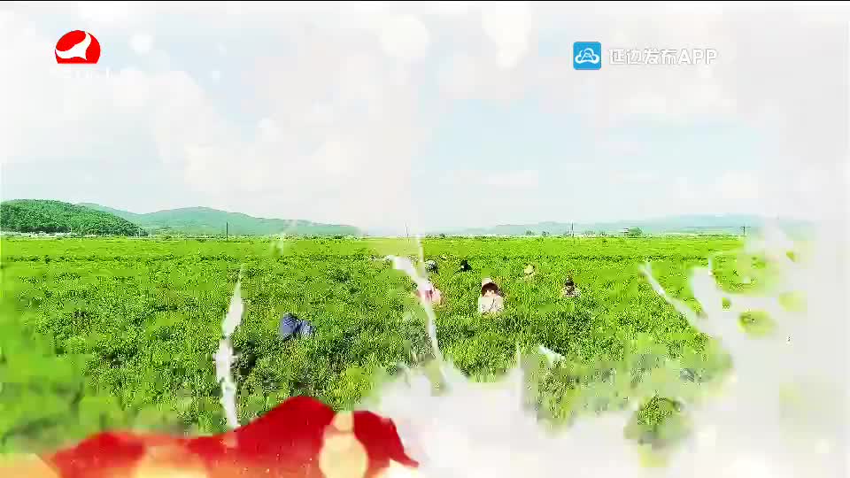 延边州脱贫攻坚大型纪录片《筑梦延边》第一集《庄严的承诺》