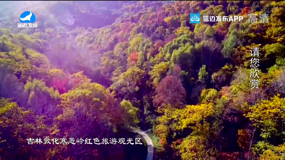 生活广角 2020-10-29
