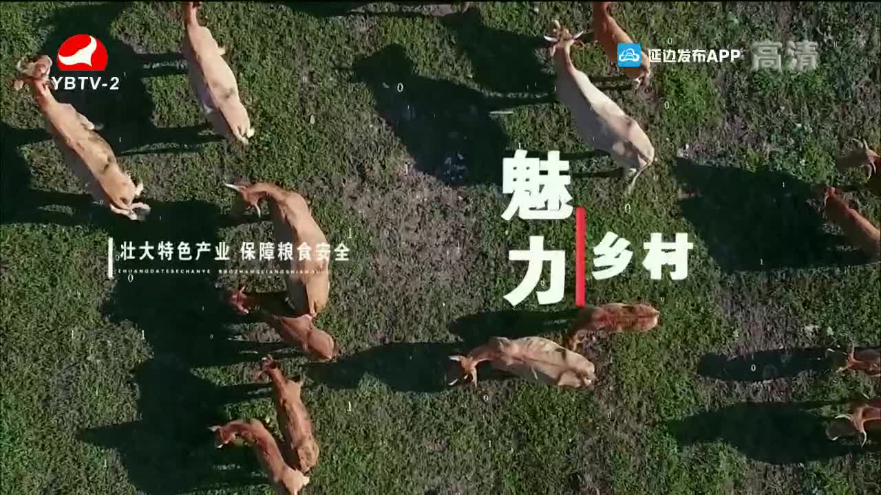 魅力乡村 2021-10-21