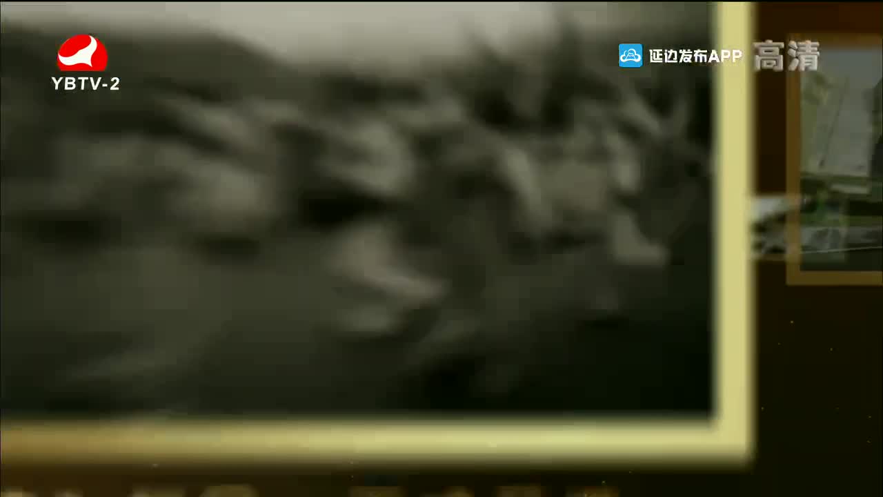 映像延边 2021-10-20