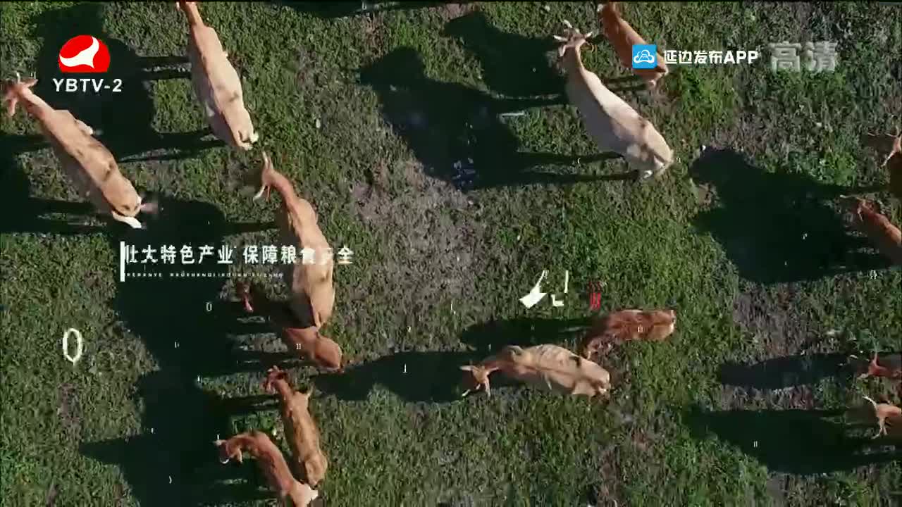 魅力乡村 2021-10-14