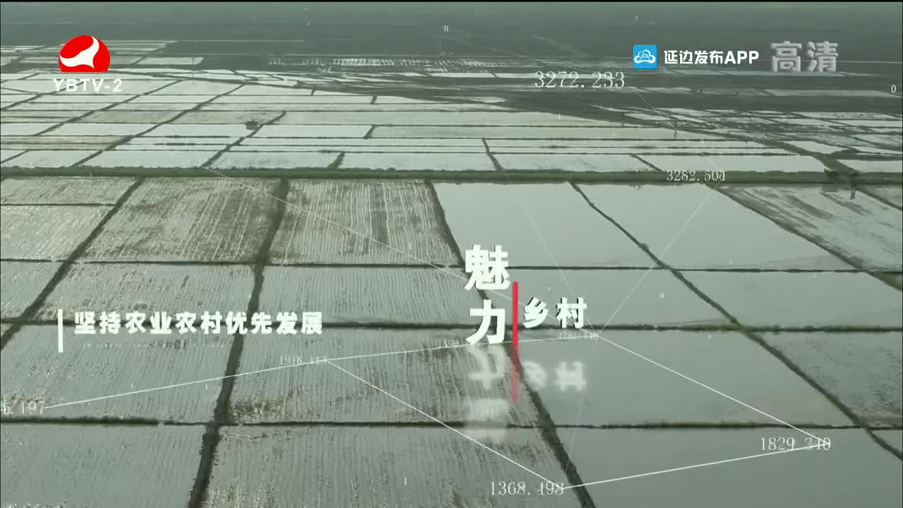 魅力乡村 2021-12-16