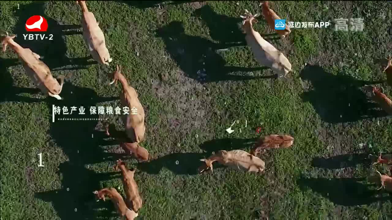 魅力乡村 2021-12-30