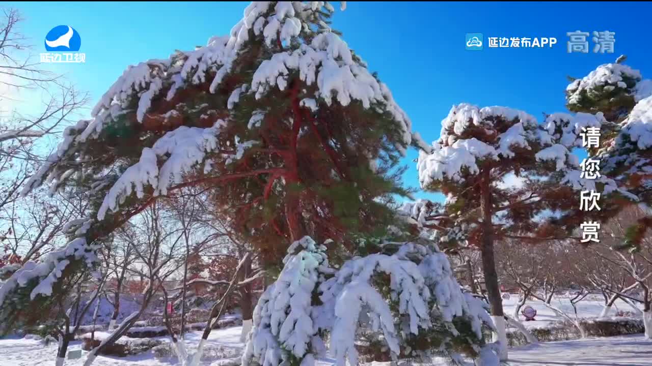 生活广角 2022-02-24
