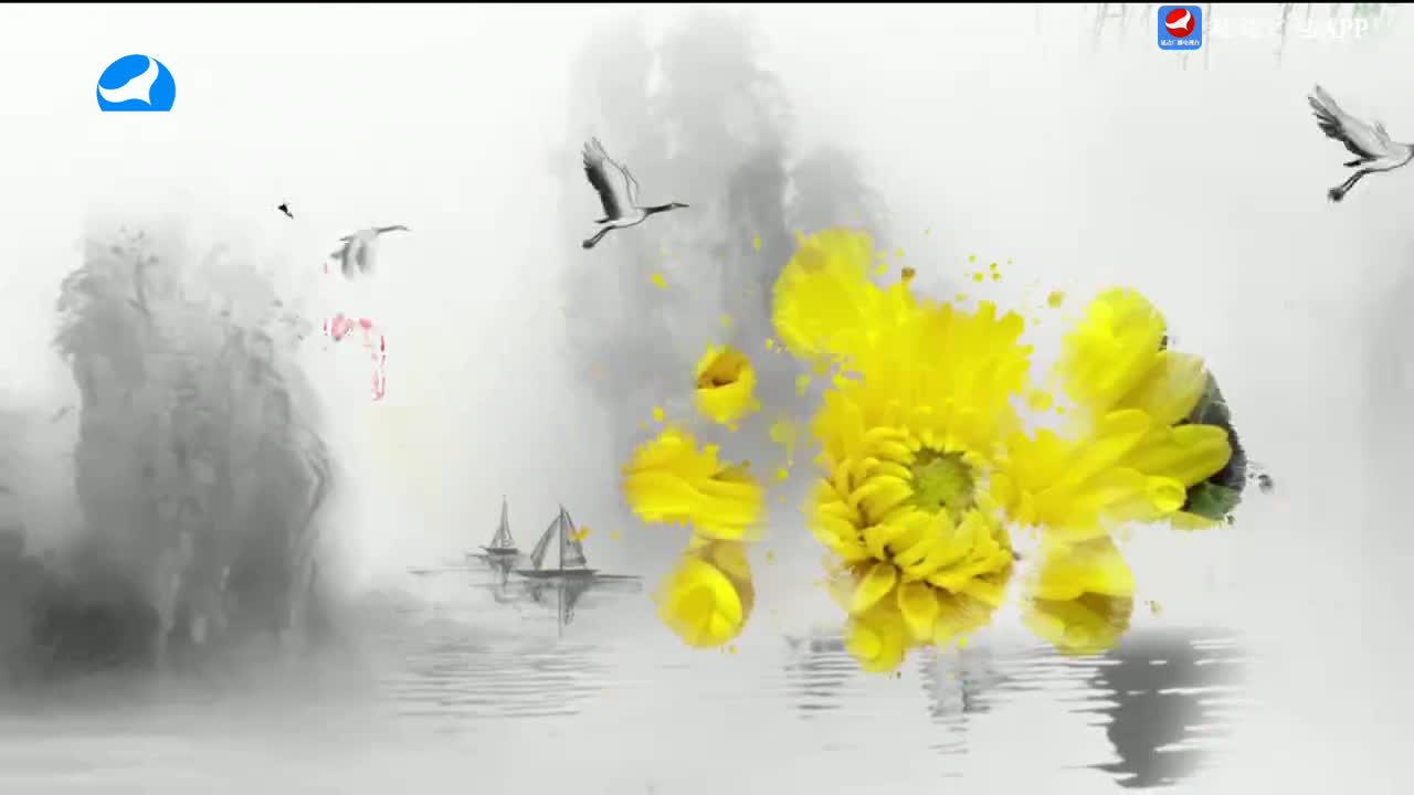 魅力乡村 2024-04-01
