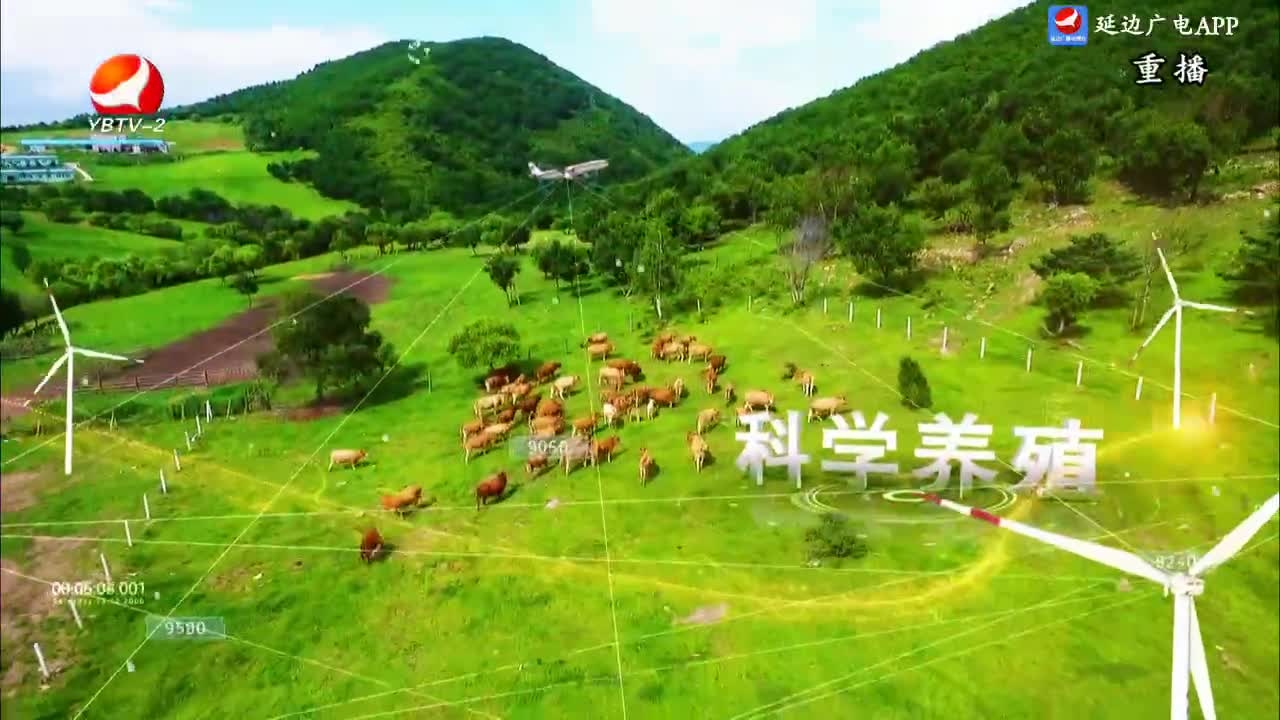 魅力乡村 2024-06-20