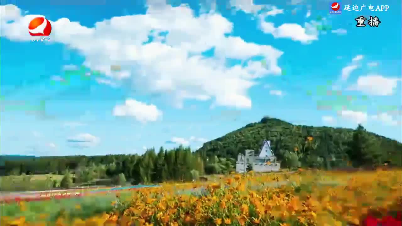 印记 2024-09-21
