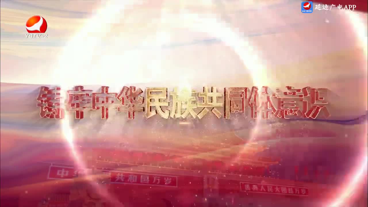 法治视线 2024-11-11