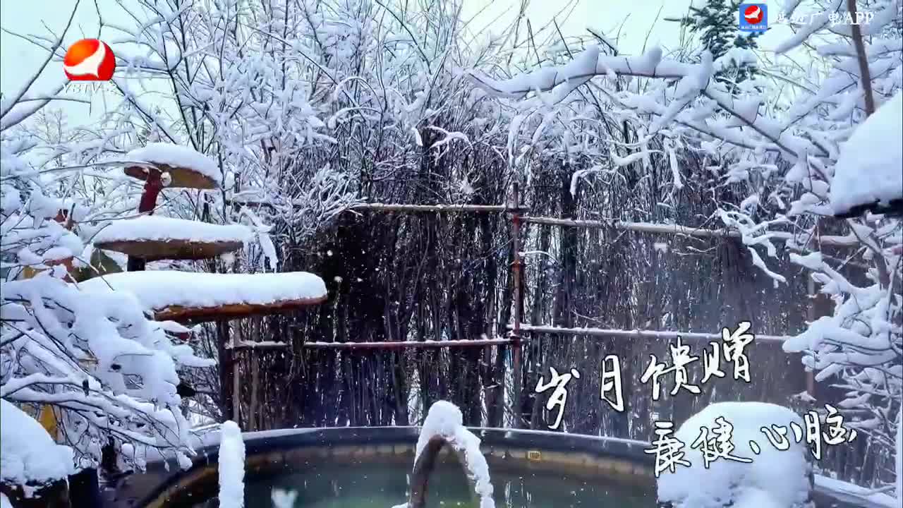 法治视线 2024-12-16