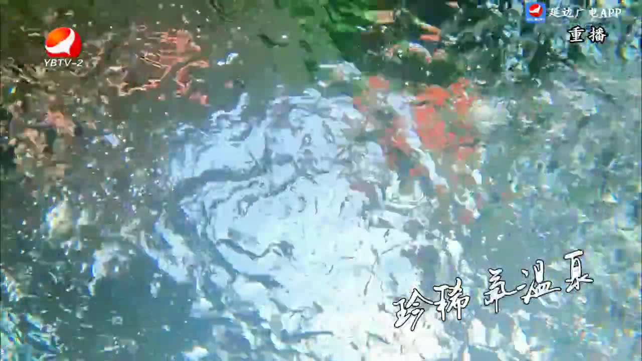 生活广角 2024-12-13