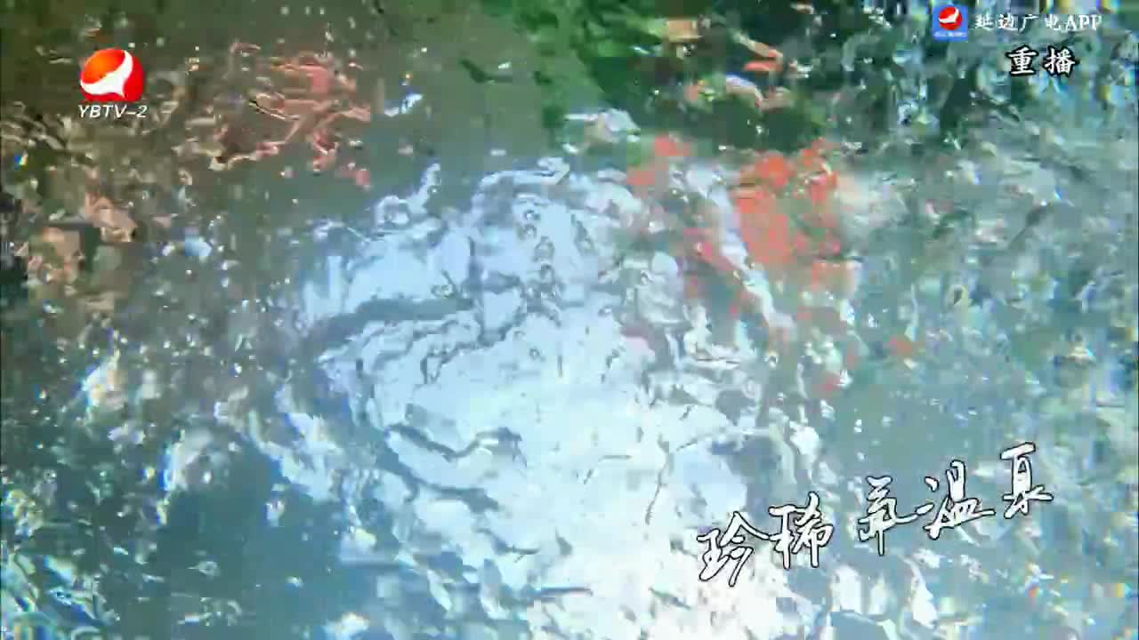 文化漫步 2025-01-13