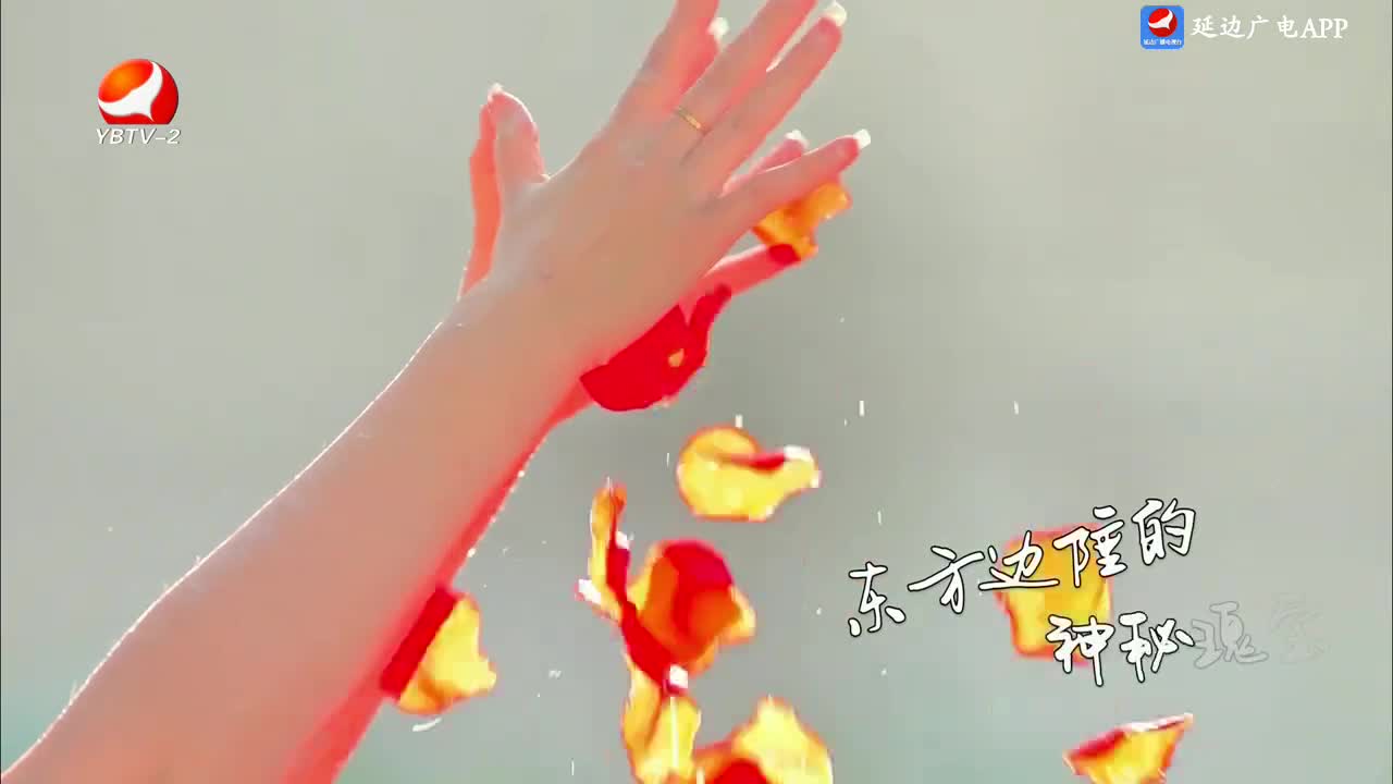 法治视线 2025-03-31