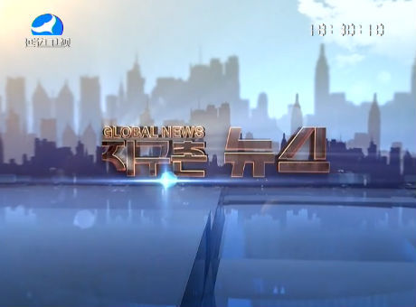 지구촌뉴스2015-12-31