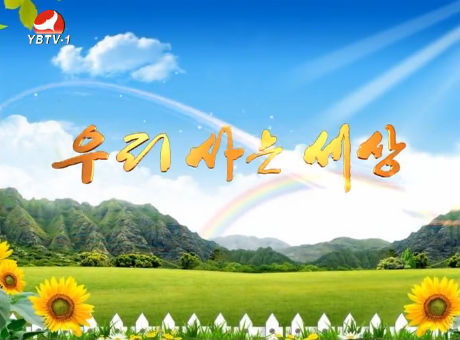 우리 사는 세상 2015-12-31