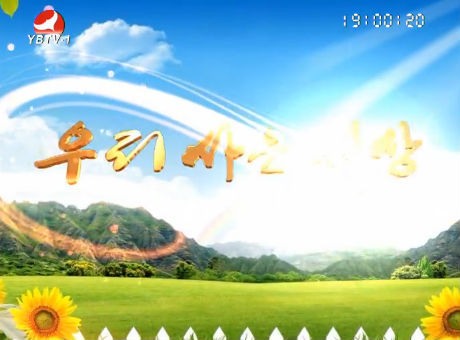 우리 사는 세상 2016-5-3