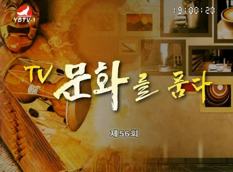 TV문화를 품다2016-11-25