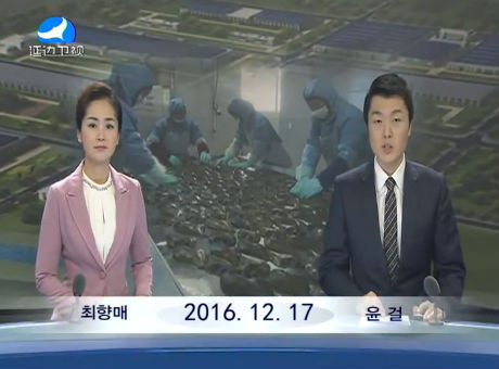 연변뉴스 2016-12-17