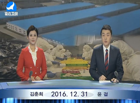 연변뉴스 2016-12-31