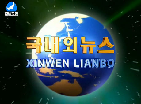 국내외뉴스 2017-1-1
