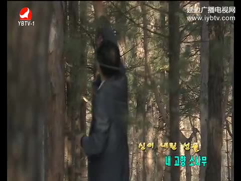 청춘파이팅-2017/03/22