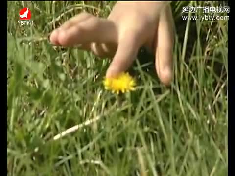 우리네 동산 2017-05-08