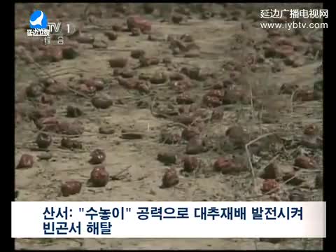 국내외뉴스 2017-05-22
