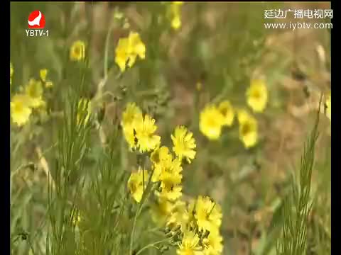 우리 사는 세상 2017-05-16