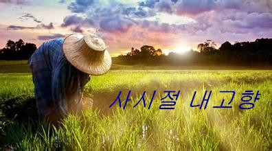사시절 내고향-2017/06/22