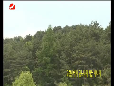 우리 사는 세상 2017-06-08