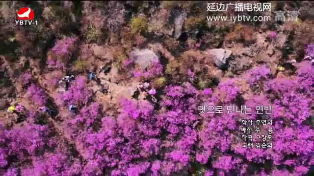 [매주일가 2017-11-13] 맛으로 만나는 연변-김순희