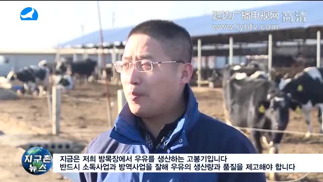 지구촌 뉴스 2018-01-01