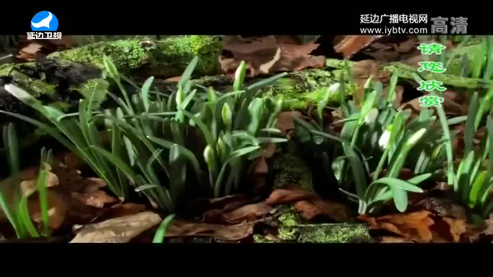 우리 사는 세상 2018-02-09