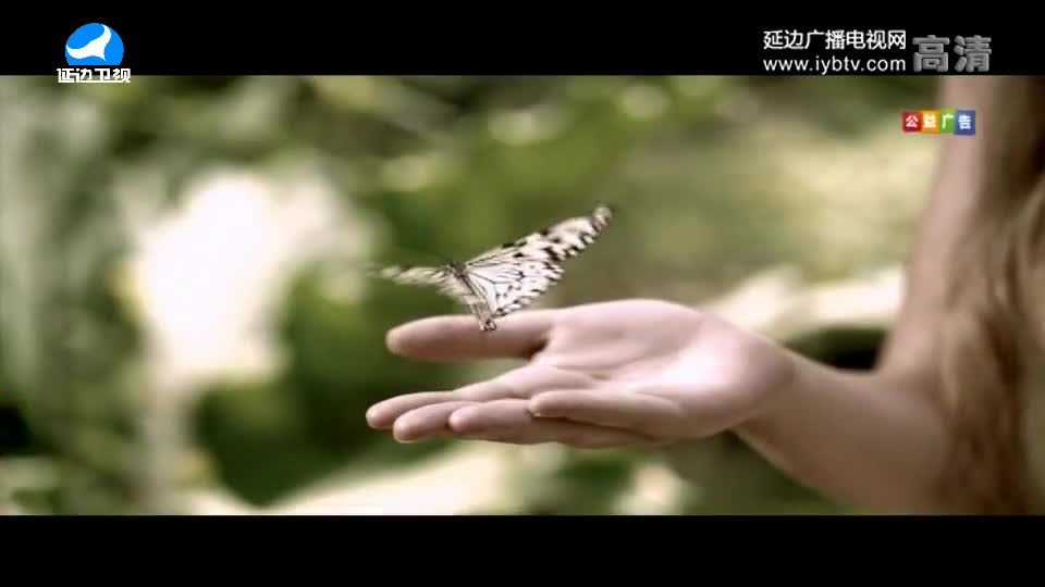 신주주말특간 2018-03-25