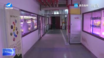 중경, 첫 스마트농업산업화실험기지 사용에 투입