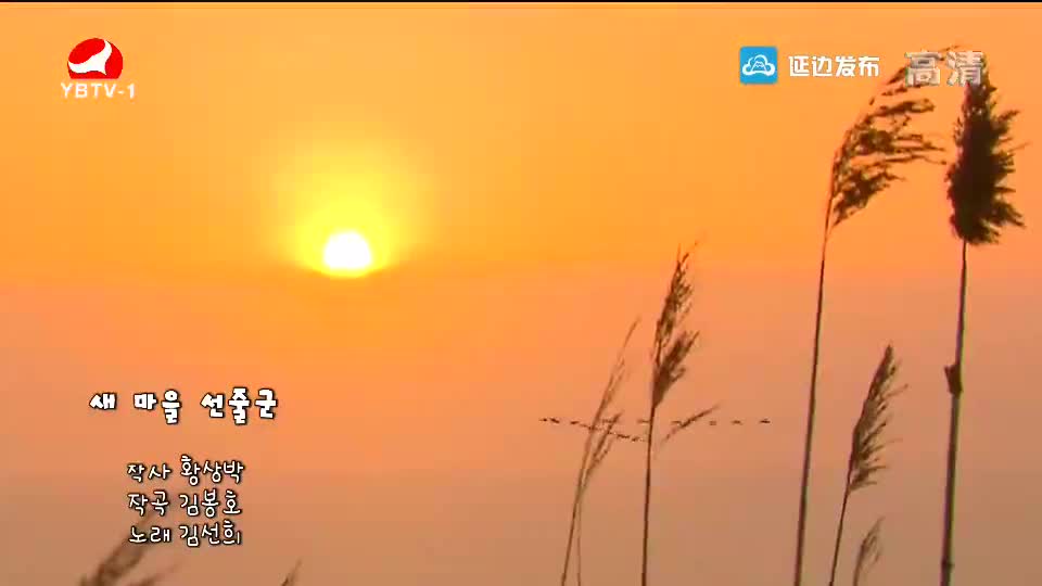 [매주일가 2018-12-24] 새 마을 선줄군-김선희