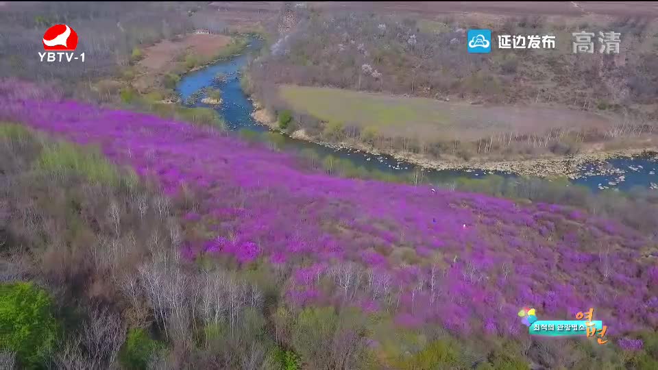 최적의 관광명소 연변2019-05-16